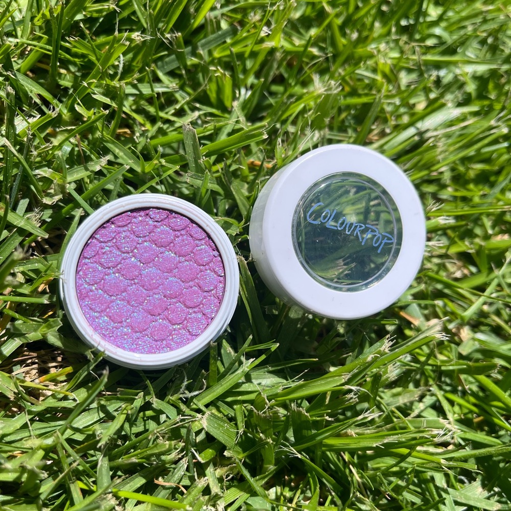 Brand New | Rose Garden Super Shock Shadow